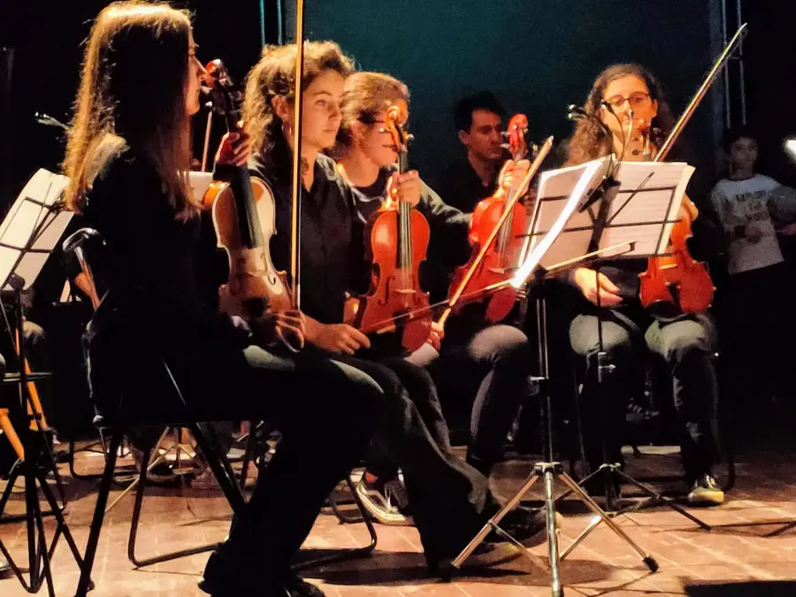 Violini dell'orchestra della scuola